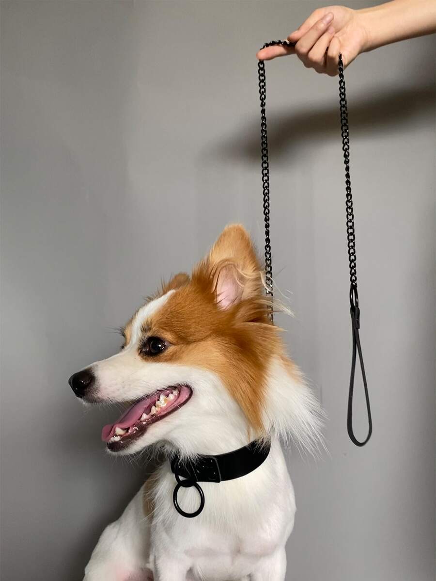 مجموعة واحدة من طوق ومقود الحيوانات الأليفة القابل للتعديل والمخصص للاستخدام في الهواء الطلق