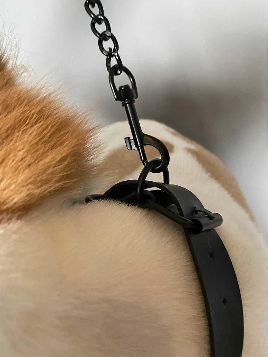 مجموعة واحدة من طوق ومقود الحيوانات الأليفة القابل للتعديل والمخصص للاستخدام في الهواء الطلق